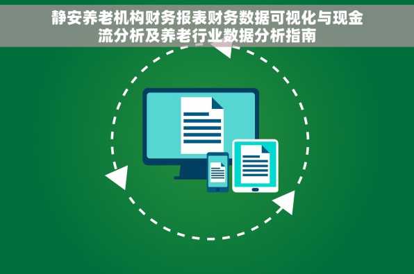 静安养老机构财务报表财务数据可视化与现金流分析及养老行业数据分析指南