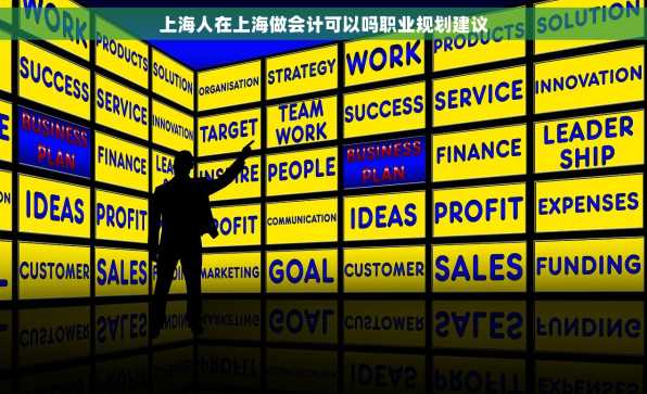 上海人在上海做会计可以吗职业规划建议