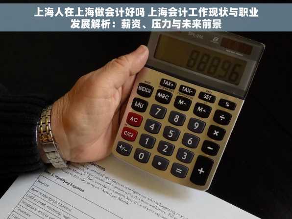 上海人在上海做会计好吗 上海会计工作现状与职业发展解析：薪资、压力与未来前景