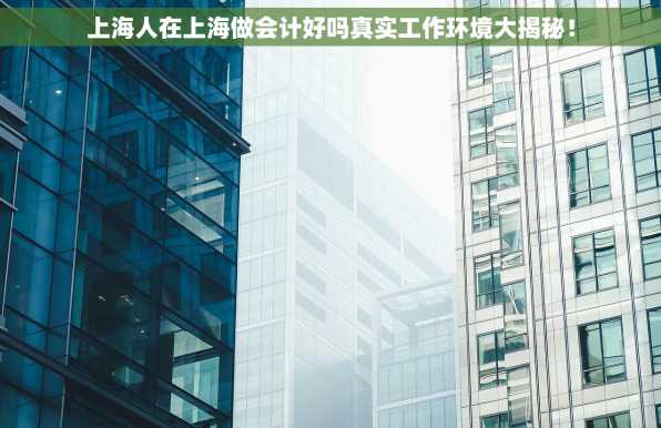 上海人在上海做会计好吗真实工作环境大揭秘！