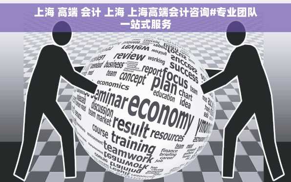 上海 高端 会计 上海 上海高端会计咨询#专业团队一站式服务