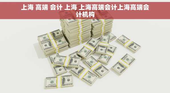 上海 高端 会计 上海 上海高端会计上海高端会计机构