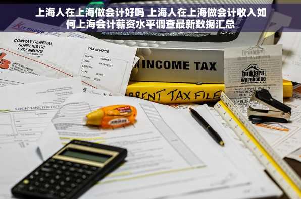 上海人在上海做会计好吗 上海人在上海做会计收入如何上海会计薪资水平调查最新数据汇总