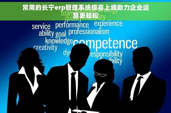 常用的长宁erp管理系统惊喜上线助力企业运营更轻松