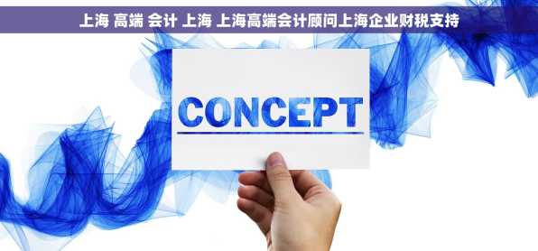 上海 高端 会计 上海 上海高端会计顾问上海企业财税支持