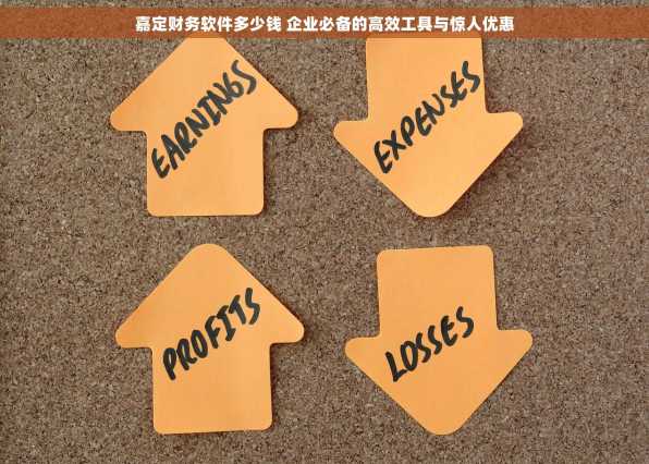 嘉定财务软件多少钱 企业必备的高效工具与惊人优惠