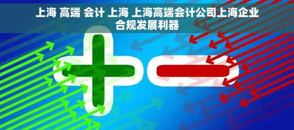 上海 高端 会计 上海 上海高端会计公司上海企业合规发展利器