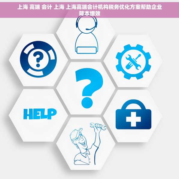 上海 高端 会计 上海 上海高端会计机构税务优化方案帮助企业降本增效