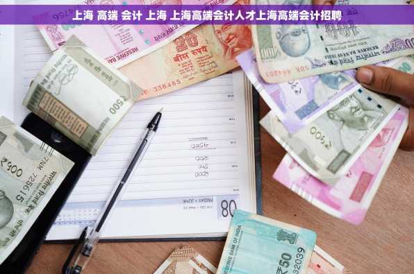 上海 高端 会计 上海 上海高端会计人才上海高端会计招聘