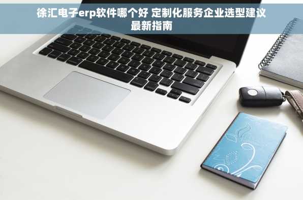 徐汇电子erp软件哪个好 定制化服务企业选型建议最新指南