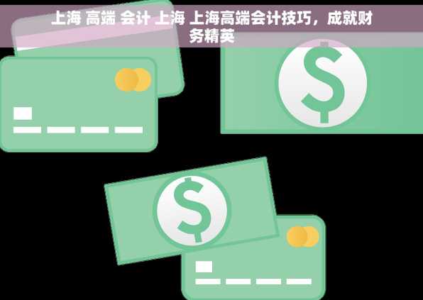 上海 高端 会计 上海 上海高端会计技巧，成就财务精英