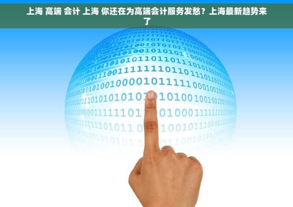 上海 高端 会计 上海 你还在为高端会计服务发愁？上海最新趋势来了