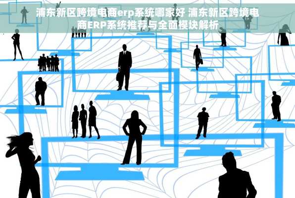 浦东新区跨境电商erp系统哪家好 浦东新区跨境电商ERP系统推荐与全面模块解析