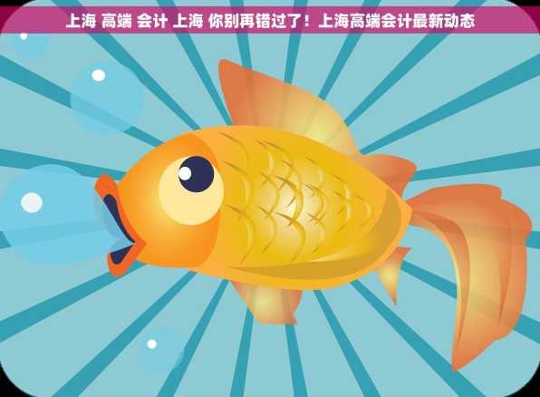 上海 高端 会计 上海 你别再错过了！上海高端会计最新动态