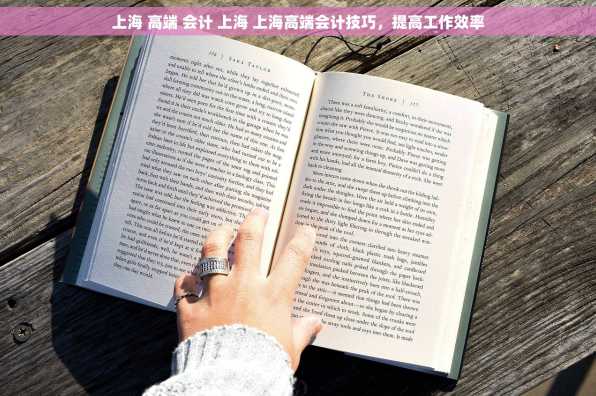 上海 高端 会计 上海 上海高端会计技巧，提高工作效率