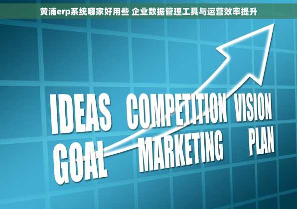 黄浦erp系统哪家好用些 企业数据管理工具与运营效率提升