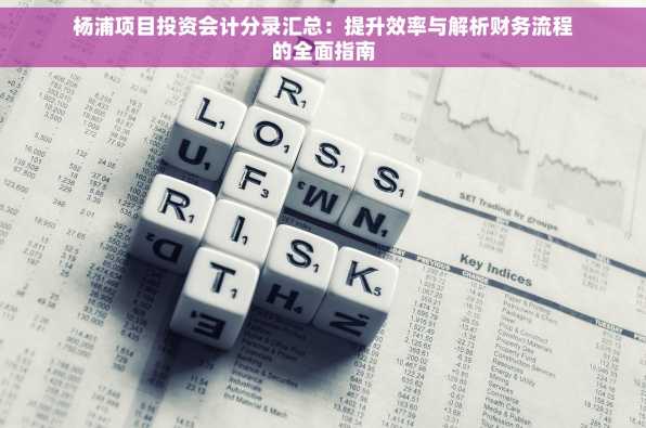 杨浦项目投资会计分录汇总：提升效率与解析财务流程的全面指南