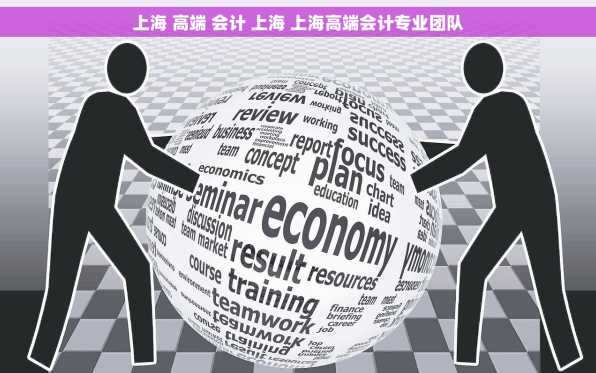 上海 高端 会计 上海 上海高端会计专业团队