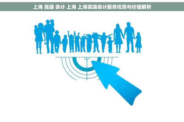 上海 高端 会计 上海 上海高端会计服务优势与价值解析