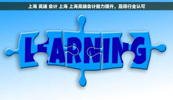 上海 高端 会计 上海 上海高端会计能力提升，赢得行业认可