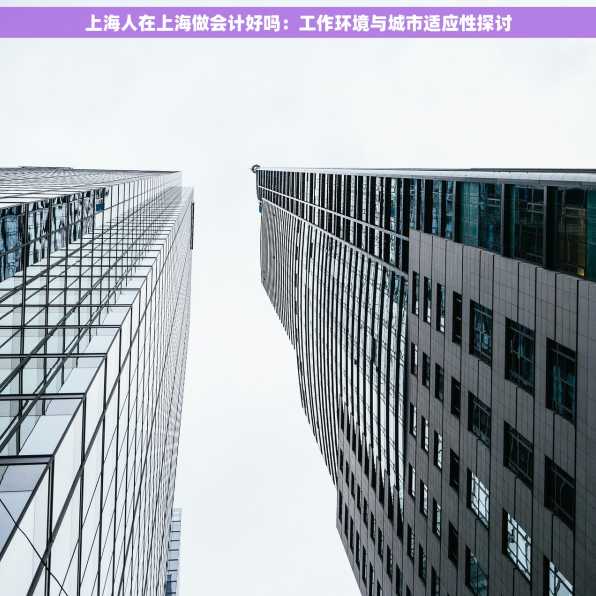 上海人在上海做会计好吗：工作环境与城市适应性探讨
