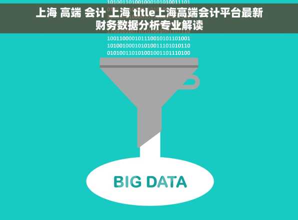 上海 高端 会计 上海 title上海高端会计平台最新财务数据分析专业解读
