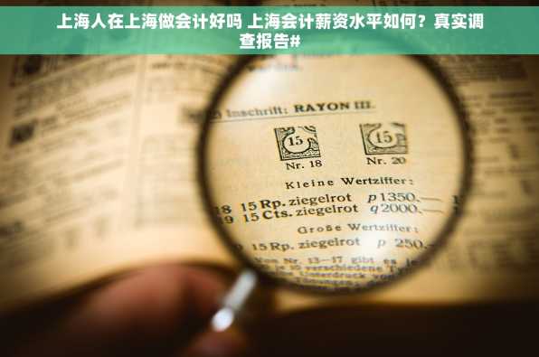 上海人在上海做会计好吗 上海会计薪资水平如何？真实调查报告#