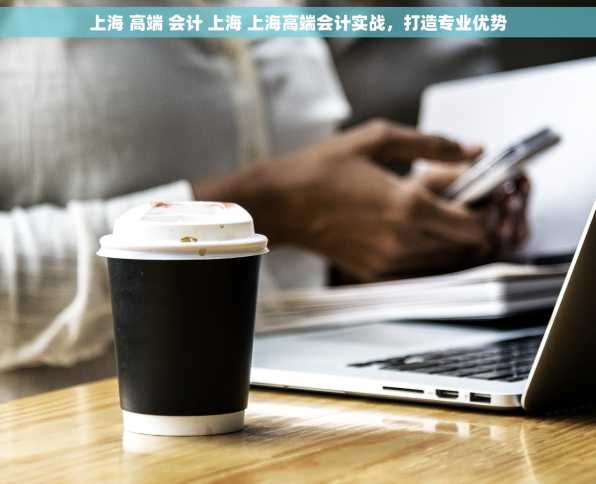 上海 高端 会计 上海 上海高端会计实战，打造专业优势