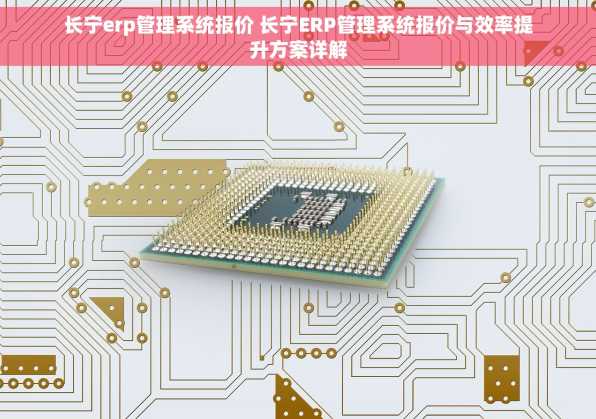 长宁erp管理系统报价 长宁ERP管理系统报价与效率提升方案详解