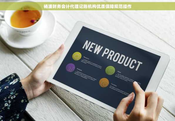 杨浦财务会计代理记账机构优质保障规范操作