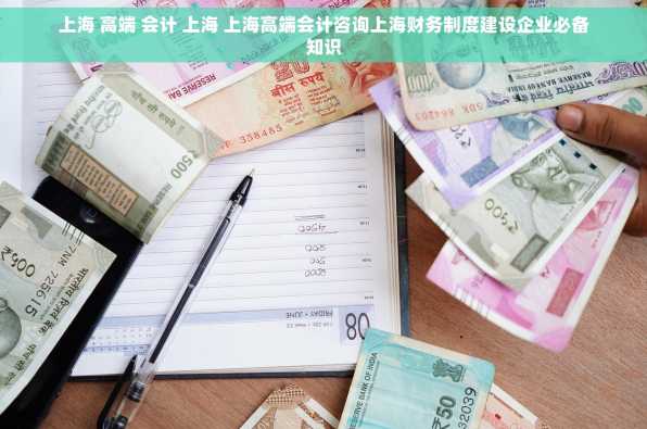 上海 高端 会计 上海 上海高端会计咨询上海财务制度建设企业必备知识