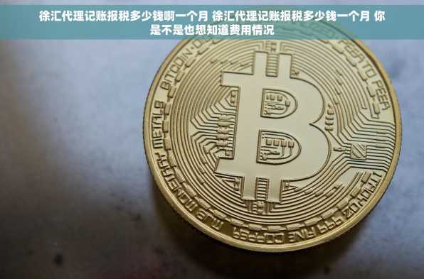 徐汇代理记账报税多少钱啊一个月 徐汇代理记账报税多少钱一个月 你是不是也想知道费用情况
