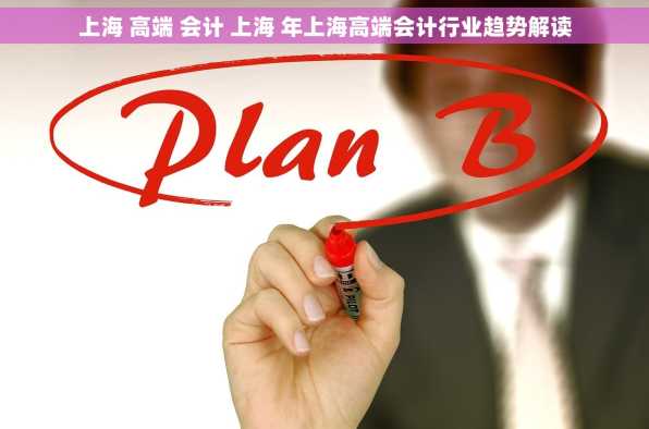 上海 高端 会计 上海 年上海高端会计行业趋势解读