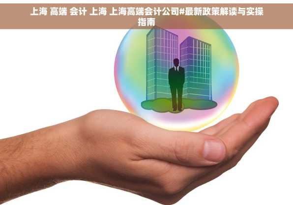 上海 高端 会计 上海 上海高端会计公司#最新政策解读与实操指南