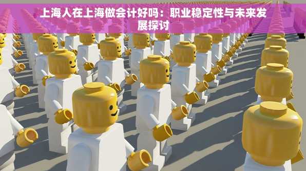 上海人在上海做会计好吗：职业稳定性与未来发展探讨