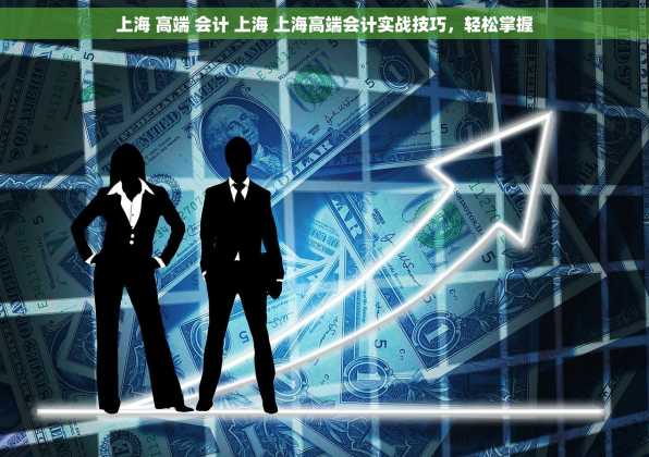 上海 高端 会计 上海 上海高端会计实战技巧，轻松掌握