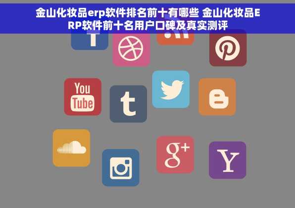 金山化妆品erp软件排名前十有哪些 金山化妆品ERP软件前十名用户口碑及真实测评