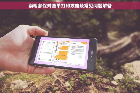 崇明参保对账单打印攻略及常见问题解答