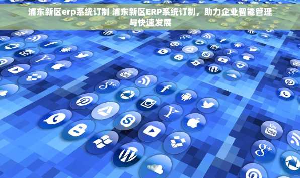 浦东新区erp系统订制 浦东新区ERP系统订制，助力企业智能管理与快速发展