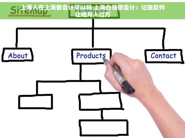 上海人在上海做会计可以吗 上海白领做会计：记账软件让她月入过万