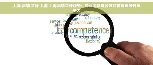 上海 高端 会计 上海 上海高端会计服务：专业团队与高效财税管理提升竞争力