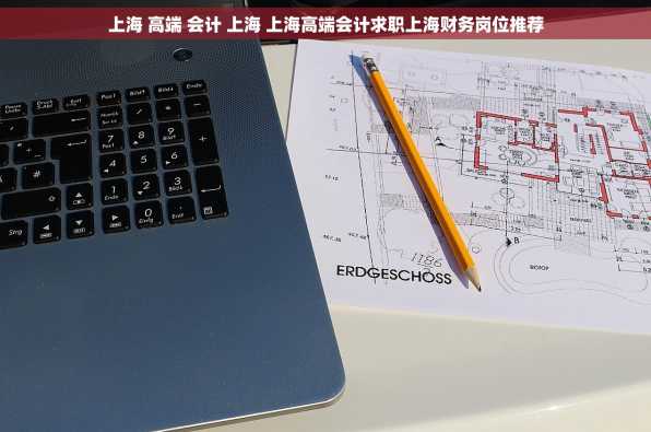 上海 高端 会计 上海 上海高端会计求职上海财务岗位推荐