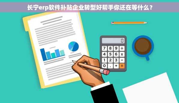 长宁erp软件补贴企业转型好帮手你还在等什么？