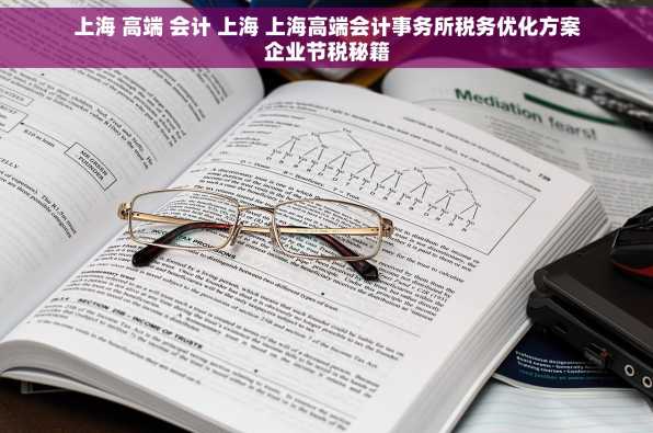 上海 高端 会计 上海 上海高端会计事务所税务优化方案企业节税秘籍