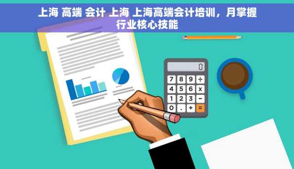 上海 高端 会计 上海 上海高端会计培训，月掌握行业核心技能