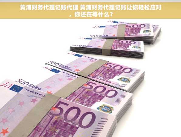 黄浦财务代理记账代理 黄浦财务代理记账让你轻松应对，你还在等什么？