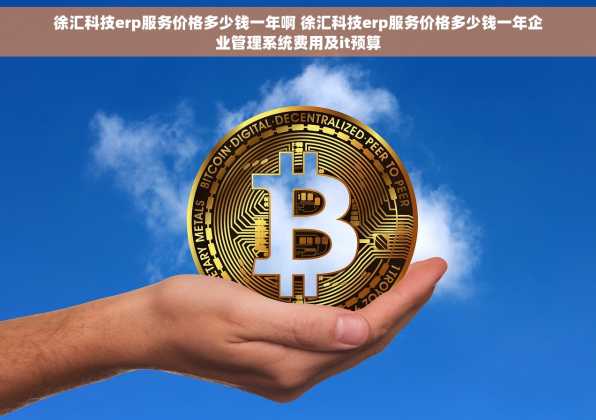 徐汇科技erp服务价格多少钱一年啊 徐汇科技erp服务价格多少钱一年企业管理系统费用及it预算