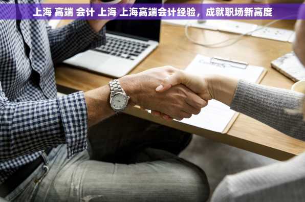 上海 高端 会计 上海 上海高端会计经验，成就职场新高度