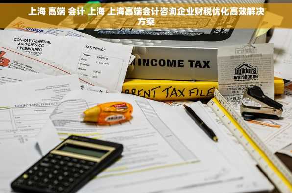 上海 高端 会计 上海 上海高端会计咨询企业财税优化高效解决方案