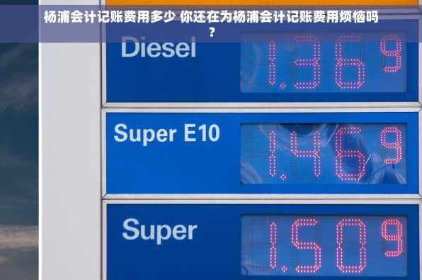 杨浦会计记账费用多少 你还在为杨浦会计记账费用烦恼吗？